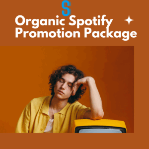 Organic Spotify Promotion Package (100 Streams)